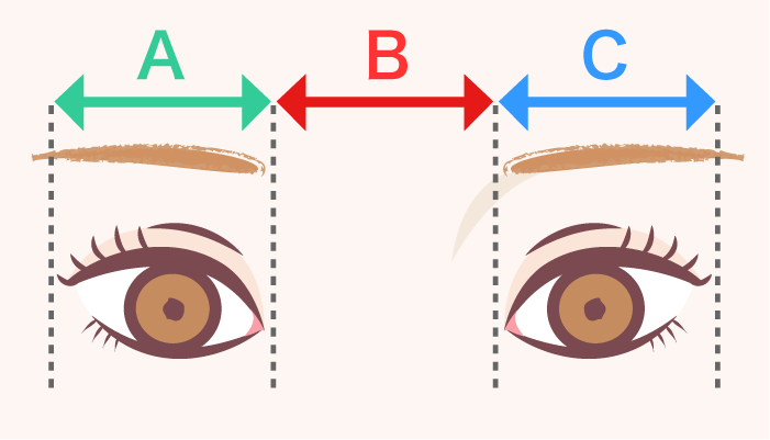 バランスの良い目と目の距離は　A＝B＝C